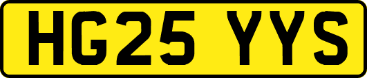 HG25YYS