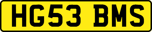 HG53BMS