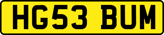 HG53BUM