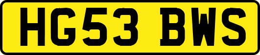 HG53BWS