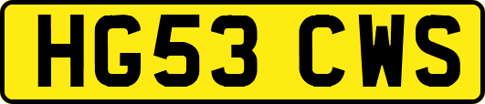 HG53CWS