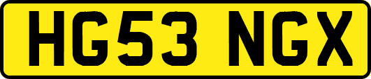HG53NGX