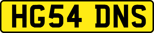 HG54DNS