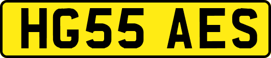 HG55AES