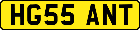 HG55ANT