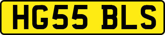 HG55BLS