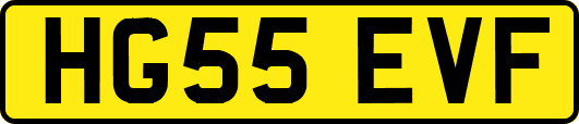 HG55EVF