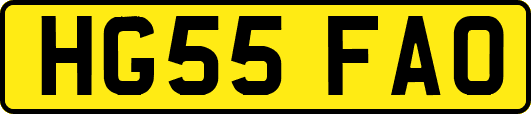 HG55FAO