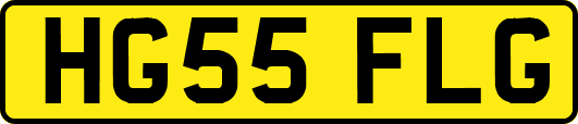 HG55FLG