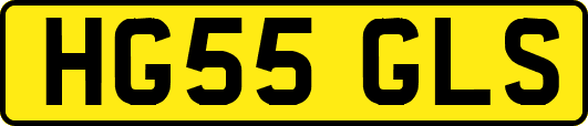 HG55GLS