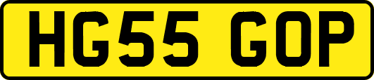 HG55GOP