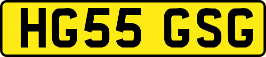 HG55GSG