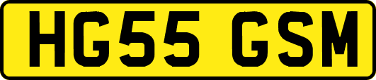 HG55GSM