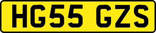 HG55GZS