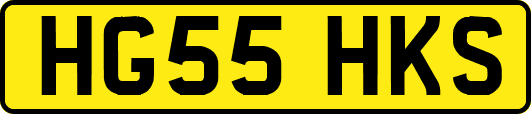 HG55HKS