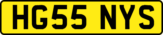 HG55NYS