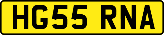 HG55RNA