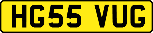 HG55VUG