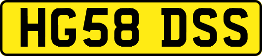 HG58DSS