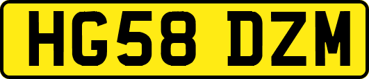 HG58DZM