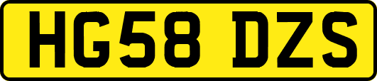 HG58DZS