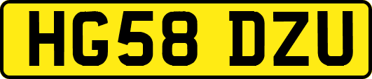 HG58DZU