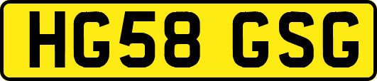 HG58GSG