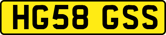 HG58GSS