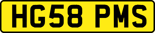 HG58PMS