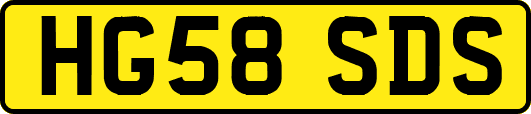 HG58SDS