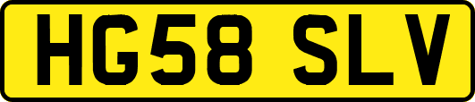 HG58SLV