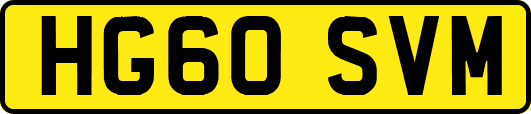 HG60SVM