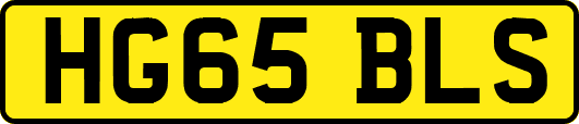 HG65BLS