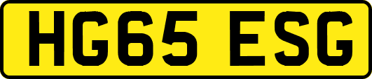 HG65ESG