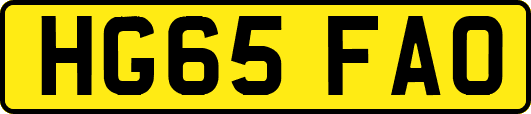 HG65FAO