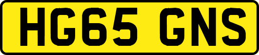 HG65GNS