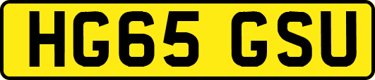 HG65GSU