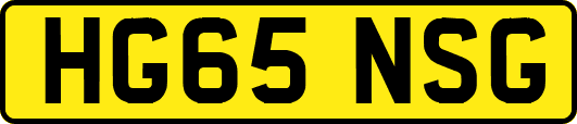 HG65NSG