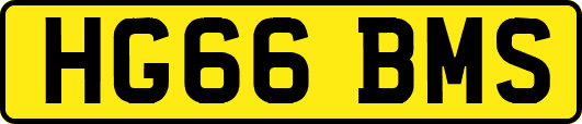 HG66BMS