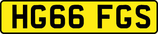 HG66FGS