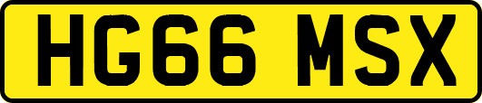 HG66MSX