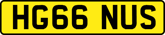 HG66NUS