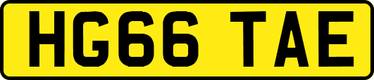 HG66TAE