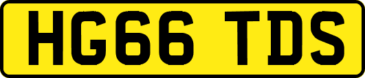 HG66TDS