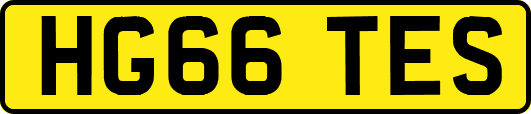 HG66TES