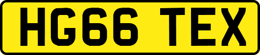 HG66TEX