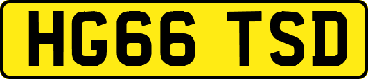 HG66TSD