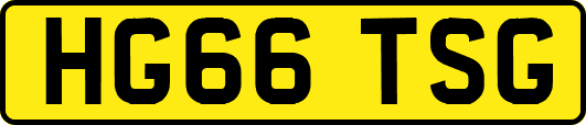 HG66TSG