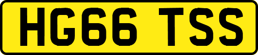 HG66TSS