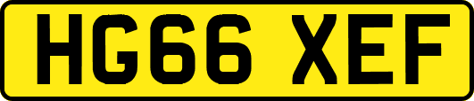 HG66XEF